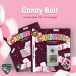 TH Seeds Candy Belt cannabis plant image 3