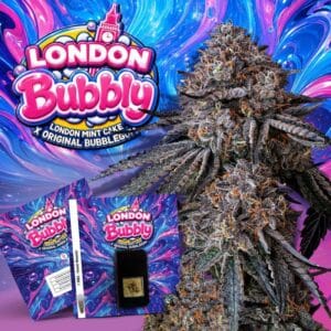 London Bubbly