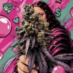 TH Seeds Mona Lisa x Bubblegum cannabis plant image 6
