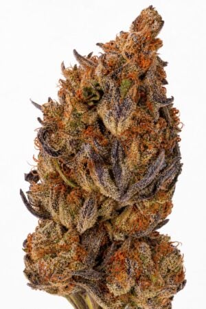 Valencia Seeds – Auto Oreoz x Runtz