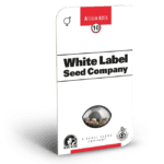 White Label Seeds Afghan Kush cannabis plant image 2