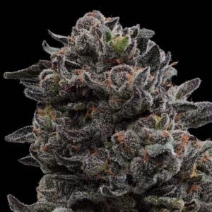 Hawaiian Mist