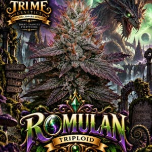 Tri Me Genetics Romulan Triploid cannabis plant image 1